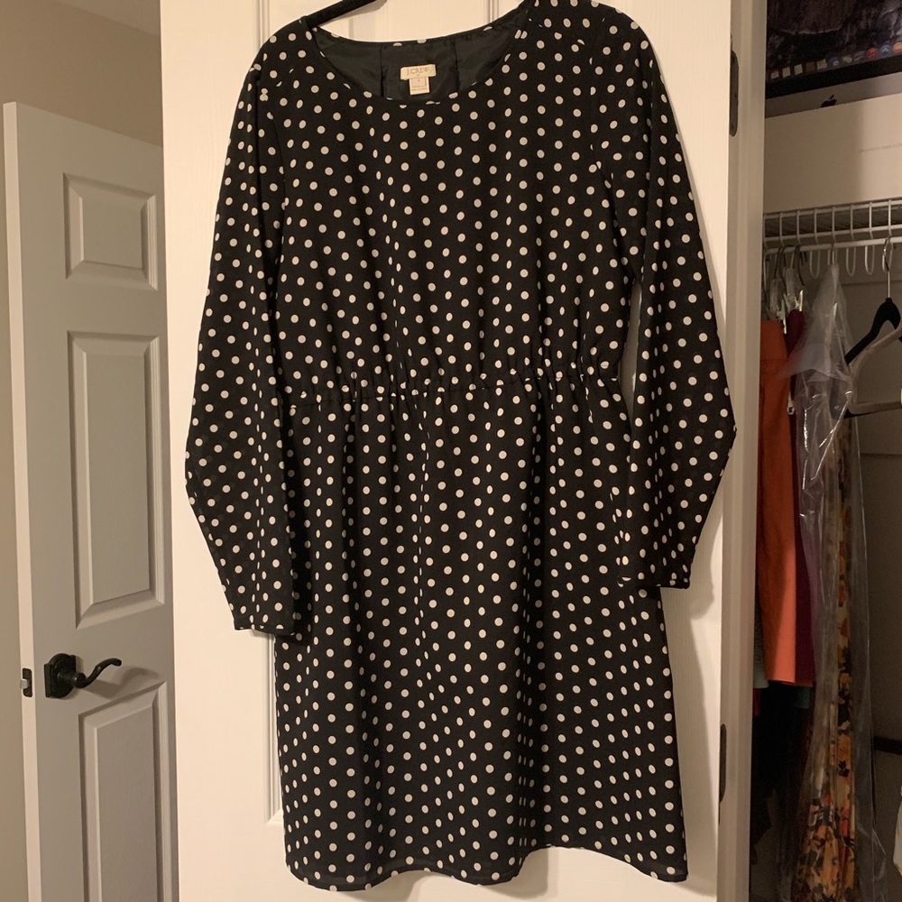 Jcrew polka dot dress